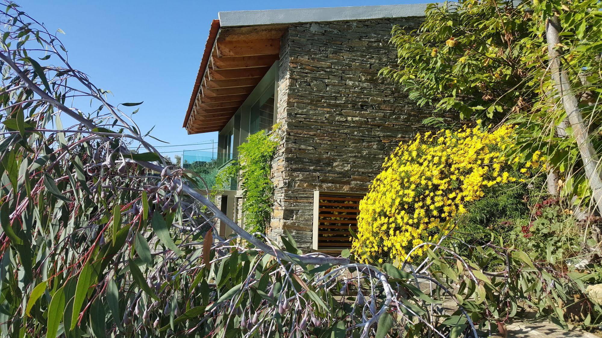 Vila Marim Country Houses Mesão Frio Exterior foto